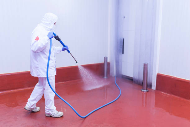 Best Restaurant Pressure Washing  in Selma, TX